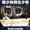 Shaolin invencible